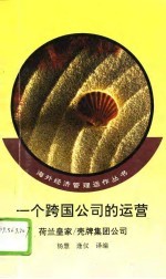 一个跨国公司的运营 荷兰皇家/壳牌集团公司