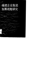 福建企业集团发展战略研究