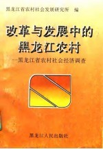 改革与发展中的黑龙江农村 黑龙江省农村社会经济调查 下