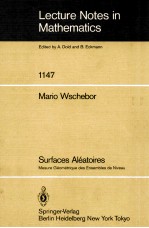 LECTURE NOTES IN MATHEMATICS 1147: SURFACES ALEATORES