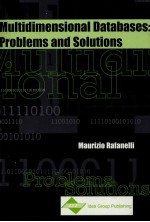 Multidimensional Databases:Problems and Solutions
