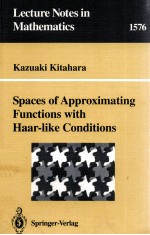 SPACES OF APPROXIMATING FUNCTIONS WITH HAAR-LIKE CONDITIONS
