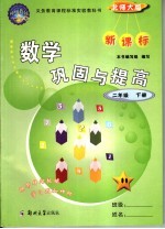数学巩固与提高 新课标 二年级 下 北师大版