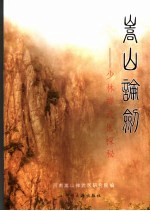 嵩山论剑 少林禅武医探密