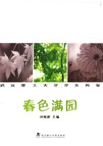 春色满园:武汉理工大学学生风采