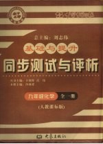 基础与提升 同步测试与评析 化学 九年级 全1册 人教课标版