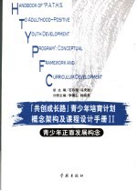 “共创成长路”青少年培育计划概念架构及课程设计手册 青少年正面发展构念 2