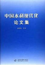 中国水利现代化论文集