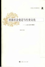 村落社会变迁与生育文化 山东东村调查