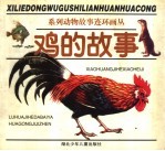 鸡的故事