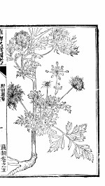 植物名实图考 第5卷