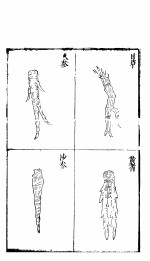 本草僃要彚笺 彚笺图