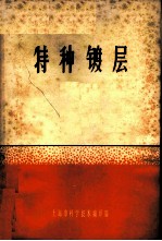 特种镀层