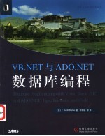 VB.NET与ADO.NET数据库编程
