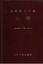 路面