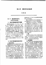 机修手册 第3卷 金属切削机床修理 第4篇 精密及大(重)型机床的修理 第21章 螺纹磨床的修理 下