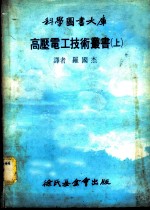高压电工技术丛书 上大库