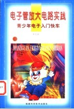 电子管放大电路实践