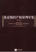 北京知识产权审判年鉴 第2版