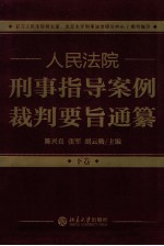 人民法院刑事指导案例裁判要旨通纂 下卷