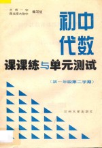 初中代数课课练与单元测试 初一年级 第二学期