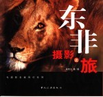 东非摄影之旅