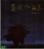 秦威作品集