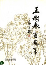 王树春书画集