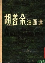 胡善余油画选