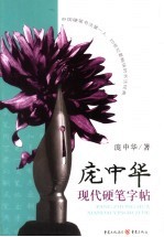 庞中华现代硬笔字帖 第2版