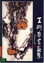 王树春书画集
