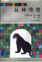 丛林传奇