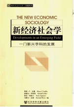 新经济社会学 一门新兴学科的发展
