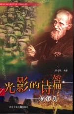 光影的诗篇 摄影美