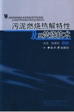 污泥燃烧热解特性及其焚烧技术