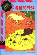 神奇动物世界 滑稽的野猪