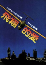 飞翔的爱 第2版