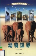 动物世界 4