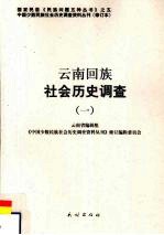 云南回族社会历史调查 1
