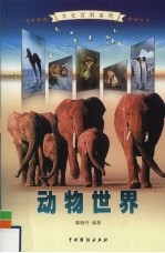 动物世界 2