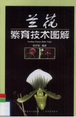 兰花繁育技术图解