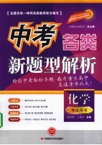 中考各类新题型解析 化学