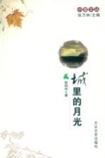 城里的月光