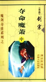 夺命魔箫 中