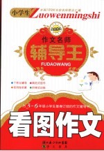 小学生作文名师辅导王 看图作文