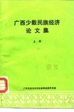广西少数民族经济论文集 上