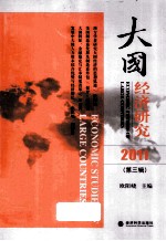 大国经济研究 2011 第3辑