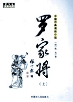 中国古典将侠小说 罗家将 上