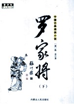 中国古典将侠小说 罗家将 下