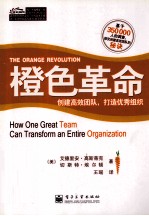 橙色革命 创建高效团队,打造优秀组织 双色